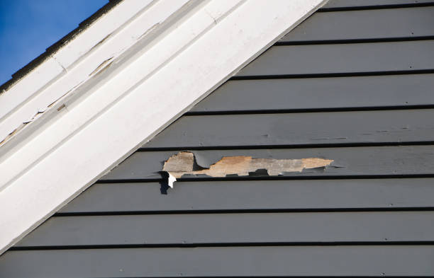 Best Historical Building Siding Restoration  in Copperopolis, CA